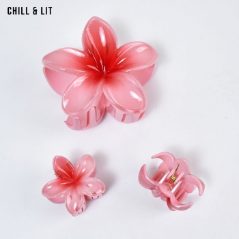 Pack Accessoires Cheveux