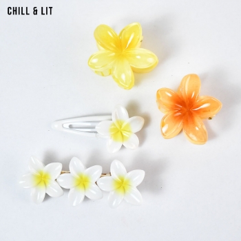 Pack Accessoires Cheveux