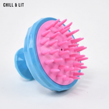 Brosse de Massage des Cheveux