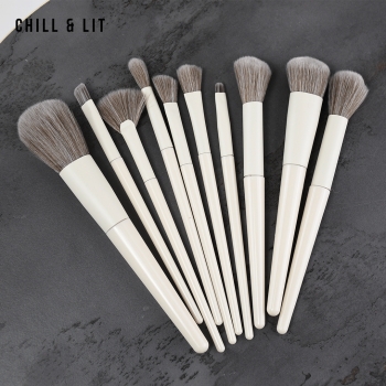 Ensemble 10 Pinceaux...