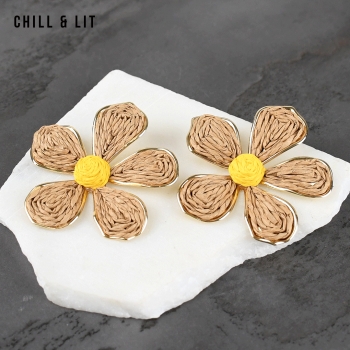 Boucles D'oreilles Inoxydables