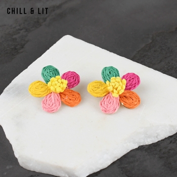 Boucles D'oreilles Inoxydables