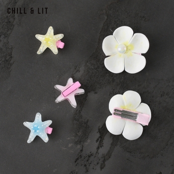 Pack de 5 Pinces à Cheveux
